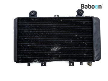 Radiateur Triumph Speed Triple 955 1997-1998 (T509, Verzenden, Gebruikt