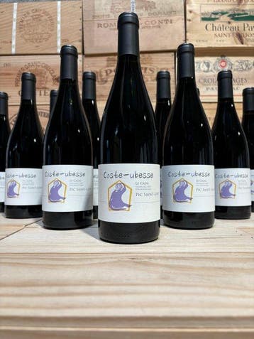 2023 Domaine Coste-Ubesse Le Cazal - Languedoc, Pic, Nieuw