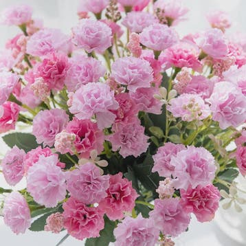 Kunstbloemen - 5 Takken Kleine Anjers (15 Bloemhoofden) - De, Verzenden, Nieuw