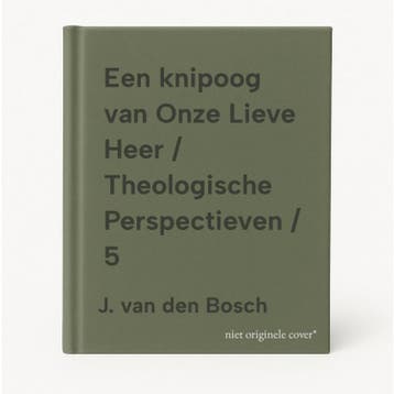 Een knipoog van Onze Lieve Heer / Theologische Perspectieven, Verzenden, Gelezen, J. van den Bosch