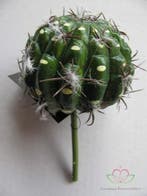 Cactus Small Ball Groen Latex Zijde per stuk, Ophalen of Verzenden, Nieuw