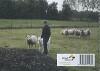 Het verhaal van de herder 9789089721235 Thomas van der Horst, Boeken, Verzenden, Zo goed als nieuw, Thomas van der Horst