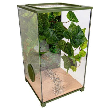 Insecten Terrarium – BioDome (20x20x34 cm), Nieuw