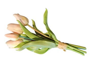 Tulpen Real Touch Roze Luxe Siliconen Latex Bundel 5 stuks, Ophalen of Verzenden, Nieuw