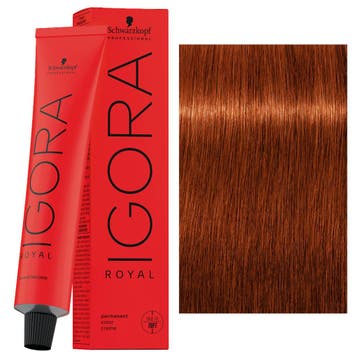 Schwarzkopf – Igora Royal Haarverf 60 ml Permanente, Verzenden, Nieuw