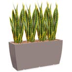 Sansevieria kunstplant, H110cm, Ophalen of Verzenden, Overige soorten, 100 tot 150 cm