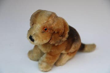 Steiff: Bazi de jonge teckel, circa 1955 - Teddybeer -