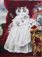 Katten Koningin, Verzenden, Nieuw