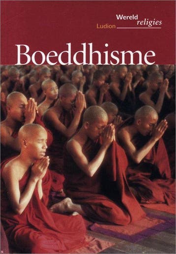 Boeddhisme / Wereldreligies - N. Celli 9789055447268, Verzenden, Gelezen, N. Celli