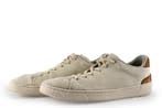 Toms Sneakers in maat 45 Beige, Overige kleuren, Verzenden, Sneakers of Gympen, Toms