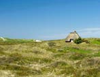 Ons vakantiehuis in Zeeland in Vrouwenpolder is te huur!, Zeeland, Landelijk, In bos, Huisdier toegestaan