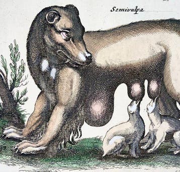 Matthäus Merian (1593-1650) - hand coloured folio:
