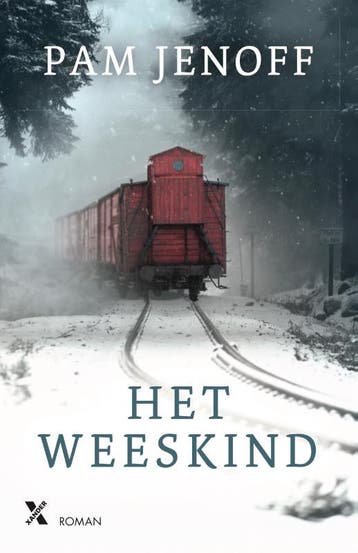 Het weeskind - Pam Jenoff 9789401614139, Boeken, Verzenden, Gelezen, Pam Jenoff