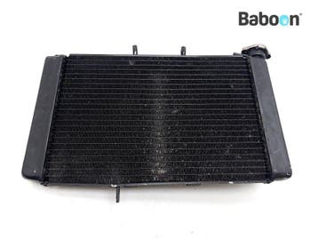 Radiateur Triumph Tiger 800  (VIN: <674841), Motoren, Verzenden, Gebruikt