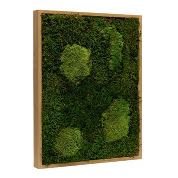 Vintlux Mosschilderij Lappenmos-Bolmos Eikenhout - Viborg, Huis en Inrichting, Woonaccessoires | Wanddecoraties, Nieuw