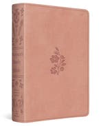 9781433598333 ESV Womens Study Bible Dana Tanamachi, Verzenden, Nieuw, Dana Tanamachi