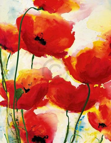 Kunstdruk Heidi Reil - Roter Mohn 70x90cm, Verzenden, Nieuw
