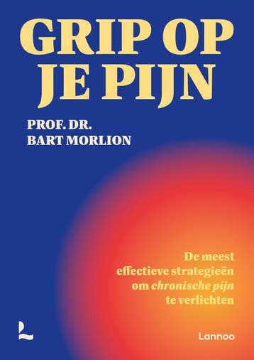 Grip op je pijn - Bart Morlion 9789020988468, Boeken, Verzenden, Gelezen, Bart Morlion