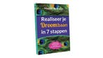 Realiseer je droombaan in 7 stappen 9789090307220, Verzenden, Zo goed als nieuw, Maaike de Bruijn