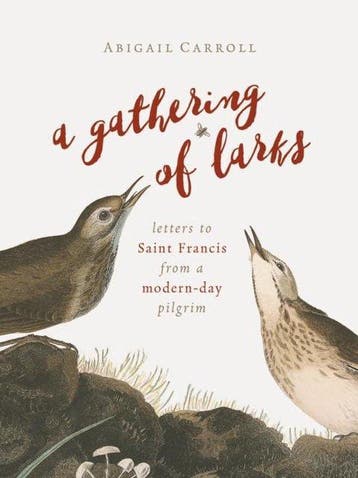 Gathering of Larks - Abigail Carroll 9780802874450, Verzenden, Gelezen, Abigail Carroll