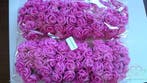Mini Foam Roos Fuchsia 2,5 cm Zak 144 stuks, Ophalen of Verzenden, Nieuw