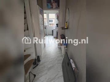 Ruilen in Zaanstad: Jouw nieuwe thuis (Koog aan de Zaan)