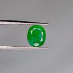 Zonder minimumprijs Groen Smaragd - 1,41 ct - International, Nieuw