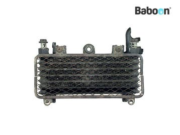Oliekoeler Kawasaki ZZR 600 1993-2002 (ZZ-R600 ZX-6E ZX600E), Verzenden, Gebruikt
