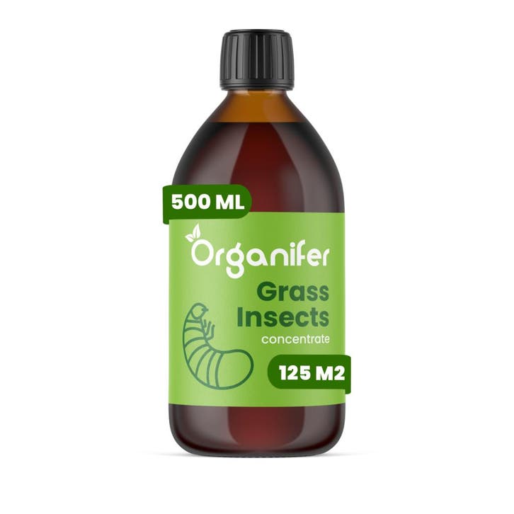 Grass Insects Concentraat - 500 ml voor 125 m2, Tuin en Terras, Aarde en Mest, Mest, Verzenden