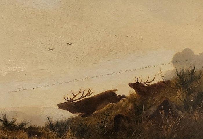 Carl Friedrich Deiker (1836-1892) - Balgende Hirsche in der, Antiek en Kunst, Kunst | Schilderijen | Klassiek