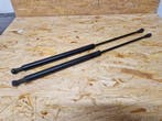 Set gasveren achterklep Fiat Panda 169 ( incl. verzenden ), Ophalen of Verzenden, Gebruikt, Achter, Fiat
