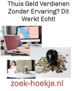 geld verdienen vanuit huis, Starter, Overige vormen, Overige niveaus, Geschikt als bijbaan