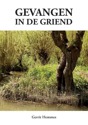 Gevangen in de griend 9789048444359 Gerrit Hemmes, Boeken, Verzenden, Zo goed als nieuw, Gerrit Hemmes