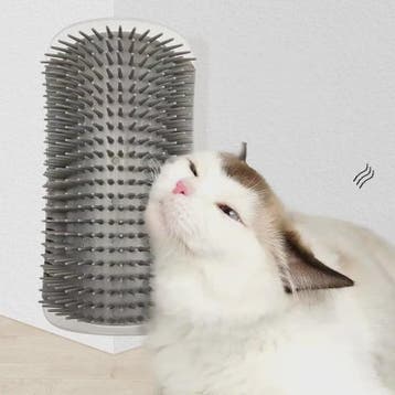 Katten Borstel Hoek - Zelfverzorging & Haarverwijdering voor