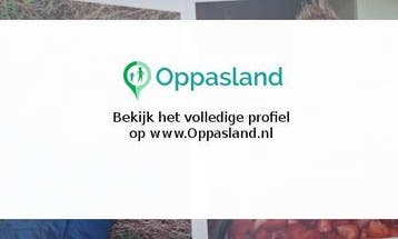 Ciska zoekt een oppas in Groningen voor 2 kinderen., Vacatures, Vacatures | Juridisch en Fiscaal