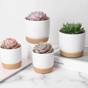 Mini Bloempot Keramieklook met Drainagegat voor Cactusen Suc, Tuin en Terras, Bloempotten, Verzenden, Nieuw