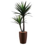 Yucca kunstplant, H200cm, Ophalen of Verzenden, Overige soorten, 200 cm of meer