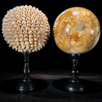 Decoratief ornament - NO RESERVE PRICE - Wonderful Pair of