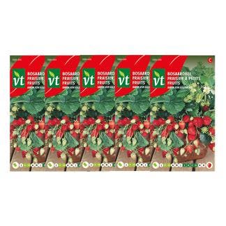 Aardbeienzaad | VT | 5 stuks (Bosaardbei), Verzenden