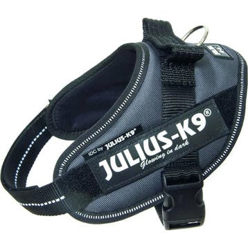 Julius K9 IDC Powertuig Mini Antraciet, Verzenden, Nieuw