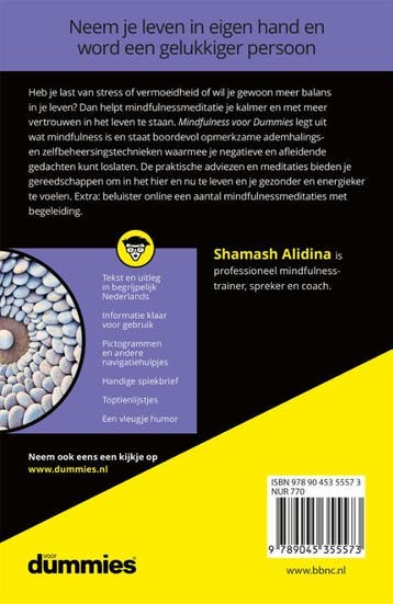 Mindfulness voor Dummies / Voor Dummies 9789045355573, Boeken, Verzenden, Gelezen, Shamash Alidina