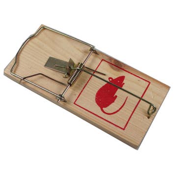 Benson Houten muizenval - Jumbo formaat - 170 x 80 x 5 mm...