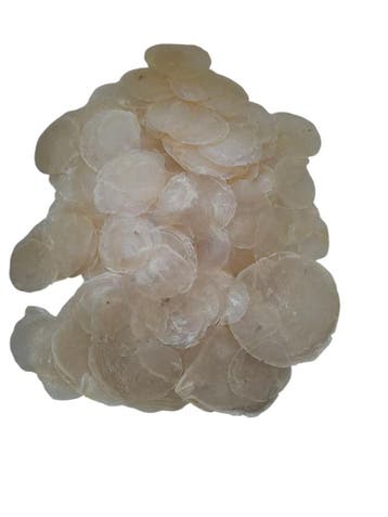 Capiz Camar schelpen 500 gram, Ophalen of Verzenden, Nieuw