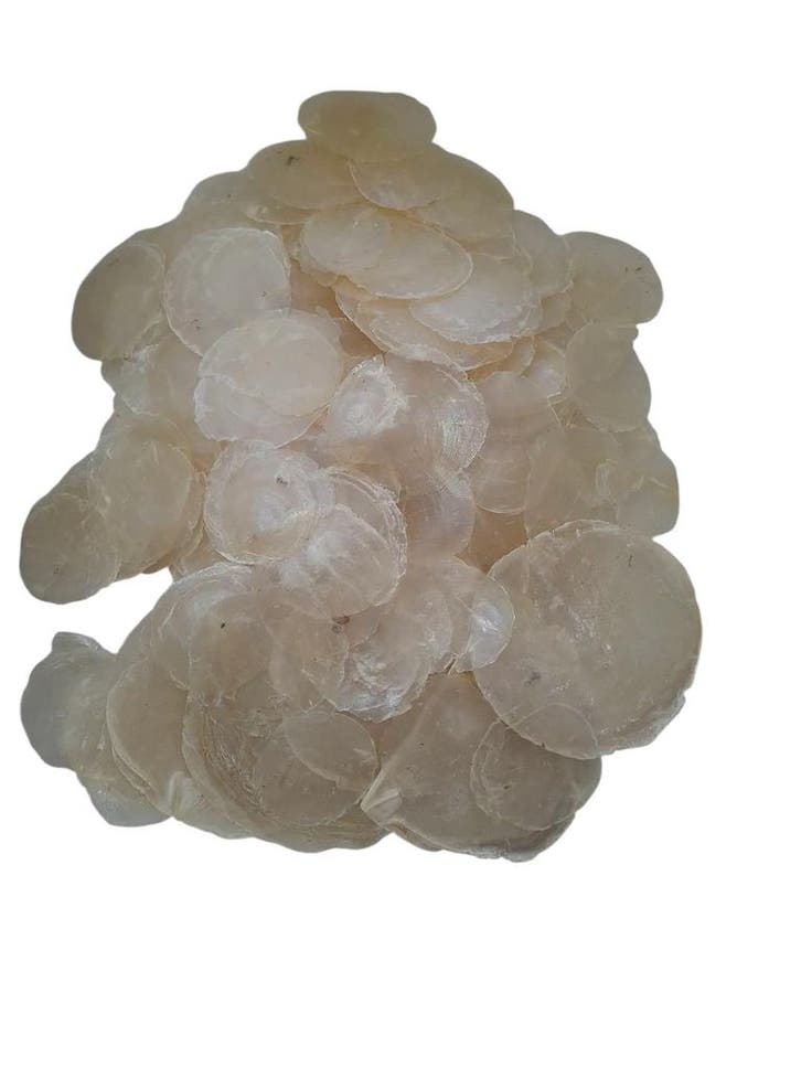 Capiz Camar schelpen 500 gram, Hobby en Vrije tijd, Knutselen, Nieuw, Ophalen of Verzenden