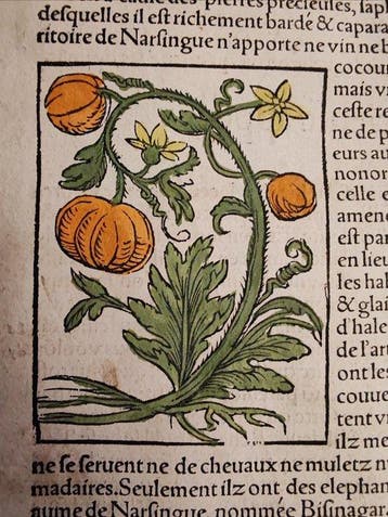 Sebastian Münster (1489–1552) - Cosmographie Universelle -