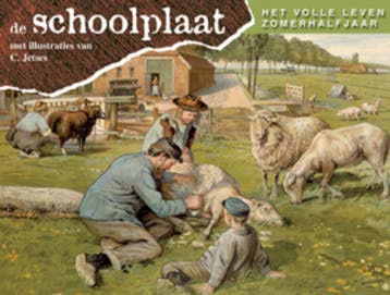 Schoolplaat het volle leven zomerhalfjaar 9789075531633, Verzenden, Zo goed als nieuw