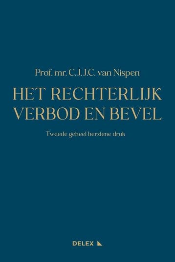 9789086923878 Het Rechterlijk Verbod en Bevel, Verzenden, Nieuw, C.J.J.C. van Nispen