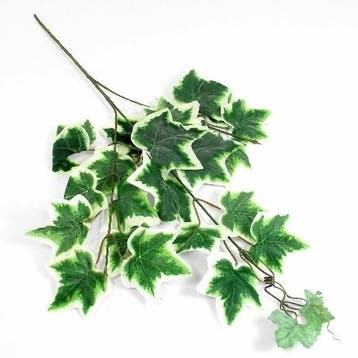 Hedera Bonte Klimop Tak Zijdenbloem groot ca. 60 cm, Ophalen of Verzenden, Nieuw