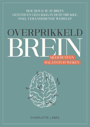 Overprikkeld Brein 9789043924887, Boeken, Verzenden, Zo goed als nieuw