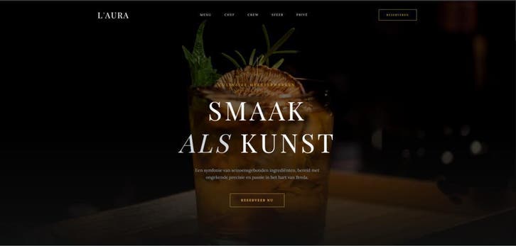 Professionele Website vanaf €39 per maand! Snelle levering!, Diensten en Vakmensen, Webdesigners en Hosting, Domeinregistratie